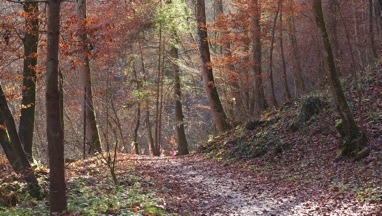ANRUFUNG | 2010 | Film und Fotografie