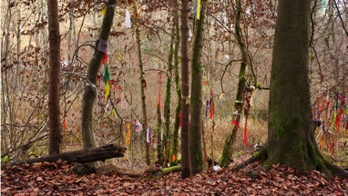ANRUFUNG | 2010 | Film und Fotografie